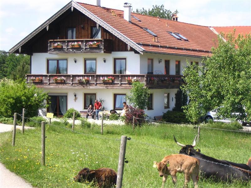 Beim Rieder Lägenhet Truchtlaching Exteriör bild